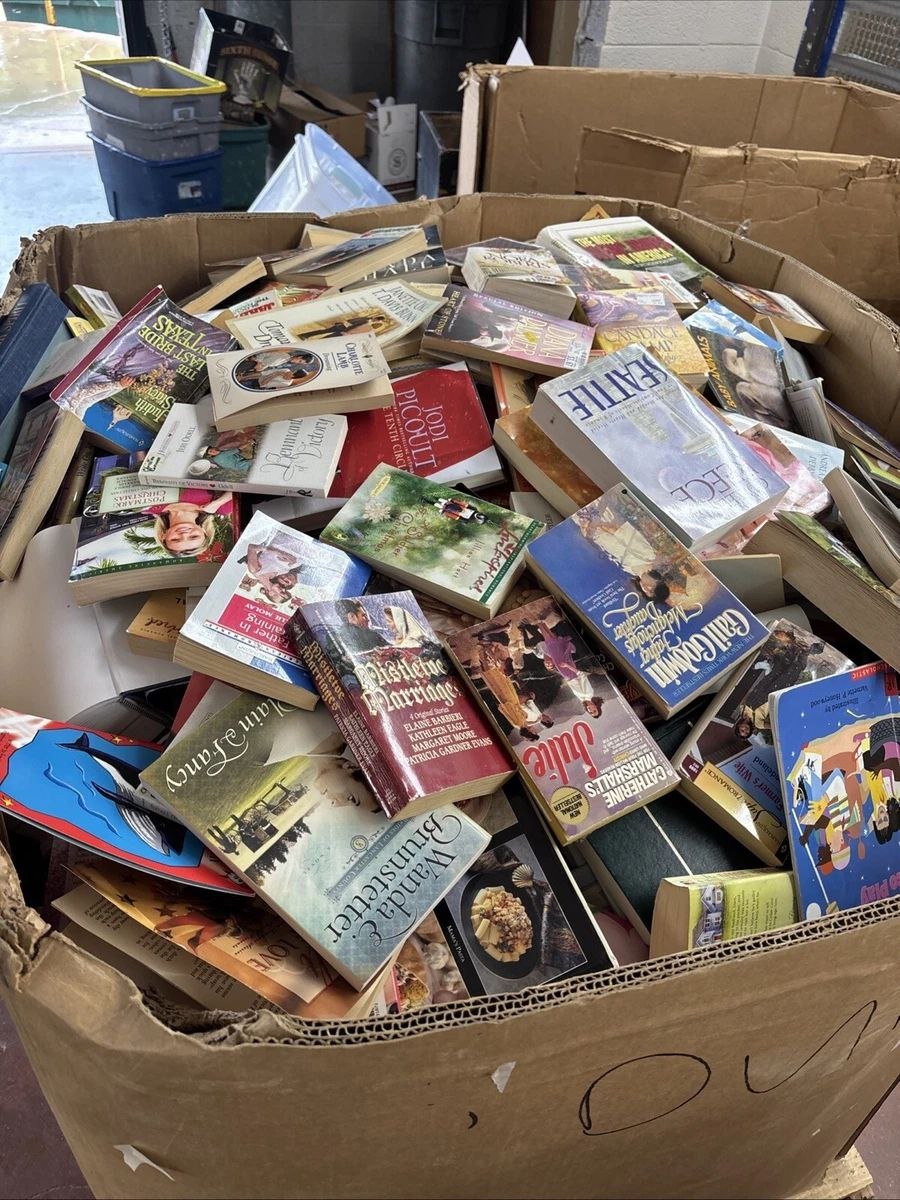 Pallet of assorted books – Novels, essays, comics & children's books – Varied genres & formats – 200 to 300 pieces – Grade A/B