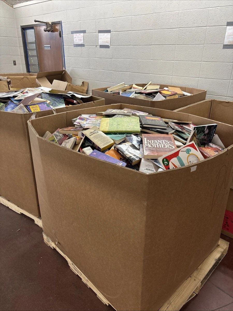 Palette de livres assortis – Romans, essais, BD & livres jeunesse – Genres & formats variés – 200 à 300 pièces – Grade A/B — photo 5